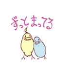 大阪のインコくん Ver.2（個別スタンプ：11）