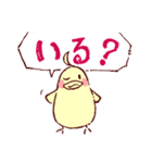 大阪のインコくん Ver.2（個別スタンプ：13）