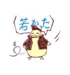 大阪のインコくん Ver.2（個別スタンプ：15）