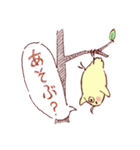 大阪のインコくん Ver.2（個別スタンプ：19）