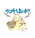 大阪のインコくん Ver.2（個別スタンプ：24）