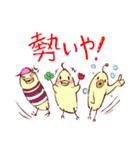 大阪のインコくん Ver.2（個別スタンプ：30）