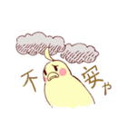 大阪のインコくん Ver.2（個別スタンプ：31）