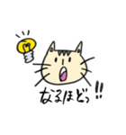 くろネコさんとキジトラさん①挨拶相づち編（個別スタンプ：12）