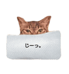 かぎしっぽのモカ（個別スタンプ：6）
