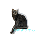 関西弁の甥っ子ハナくん（個別スタンプ：5）
