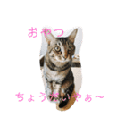 関西弁の甥っ子ハナくん（個別スタンプ：9）