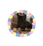 関西弁の甥っ子ハナくん（個別スタンプ：16）