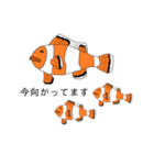 何となくな生き物たち（個別スタンプ：16）