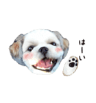 ルッチャンとミルちゃん（個別スタンプ：1）
