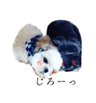 ルッチャンとミルちゃん（個別スタンプ：4）