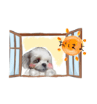 ルッチャンとミルちゃん（個別スタンプ：5）