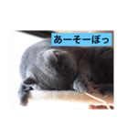 キーのスタンプ（個別スタンプ：7）