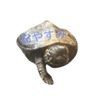 カメのかいわれちゃん（個別スタンプ：1）