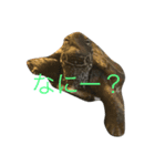 カメのかいわれちゃん（個別スタンプ：3）