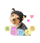 プリンとピノ（個別スタンプ：3）