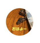 ハチュ好き2（個別スタンプ：12）