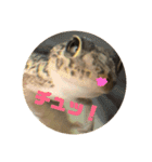 ハチュ好き2（個別スタンプ：13）