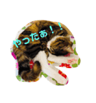 ハムふれんず。（個別スタンプ：4）