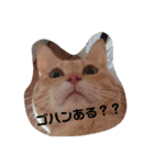 ハムふれんず。（個別スタンプ：20）