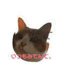ハムふれんず。（個別スタンプ：27）