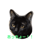 ハムふれんず。（個別スタンプ：37）