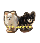 ハムふれんず。（個別スタンプ：39）
