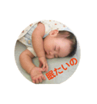 みんなのりゅーたん（個別スタンプ：13）