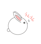 まるっこどうぶつ！（個別スタンプ：13）
