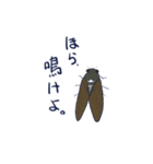 白熊蝉（個別スタンプ：8）