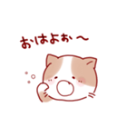 ゆるっと使えるねこちゃん（個別スタンプ：1）