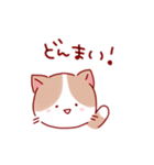 ゆるっと使えるねこちゃん（個別スタンプ：21）