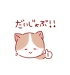 ゆるっと使えるねこちゃん（個別スタンプ：23）