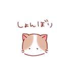 ゆるっと使えるねこちゃん（個別スタンプ：38）