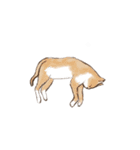 眠っている猫（個別スタンプ：1）