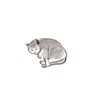 眠っている猫（個別スタンプ：7）