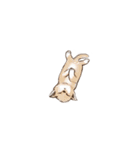 眠っている猫（個別スタンプ：10）