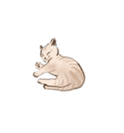 眠っている猫（個別スタンプ：11）
