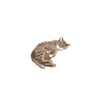 眠っている猫（個別スタンプ：12）