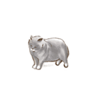 眠っている猫（個別スタンプ：17）