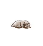 眠っている猫（個別スタンプ：19）