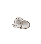 眠っている猫（個別スタンプ：20）