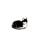 眠っている猫（個別スタンプ：22）