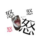 いっぬたち（個別スタンプ：32）