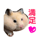 光崎さんちの可愛い子ちゃんたち（個別スタンプ：1）