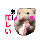 光崎さんちの可愛い子ちゃんたち（個別スタンプ：5）