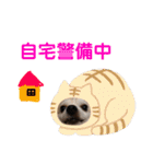 光崎さんちの可愛い子ちゃんたち（個別スタンプ：13）