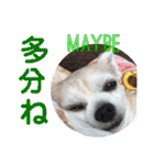 光崎さんちの可愛い子ちゃんたち（個別スタンプ：32）