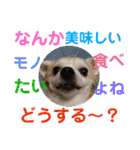 光崎さんちの可愛い子ちゃんたち（個別スタンプ：37）
