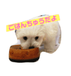 まるっくすのずんだ（個別スタンプ：1）